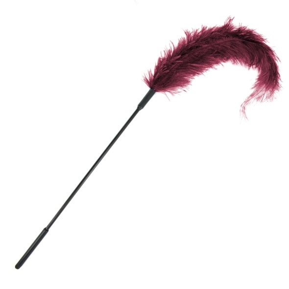 SexShop - Sportsheets Ostrich Tickler – Miotełka strusie pióro burgund - online